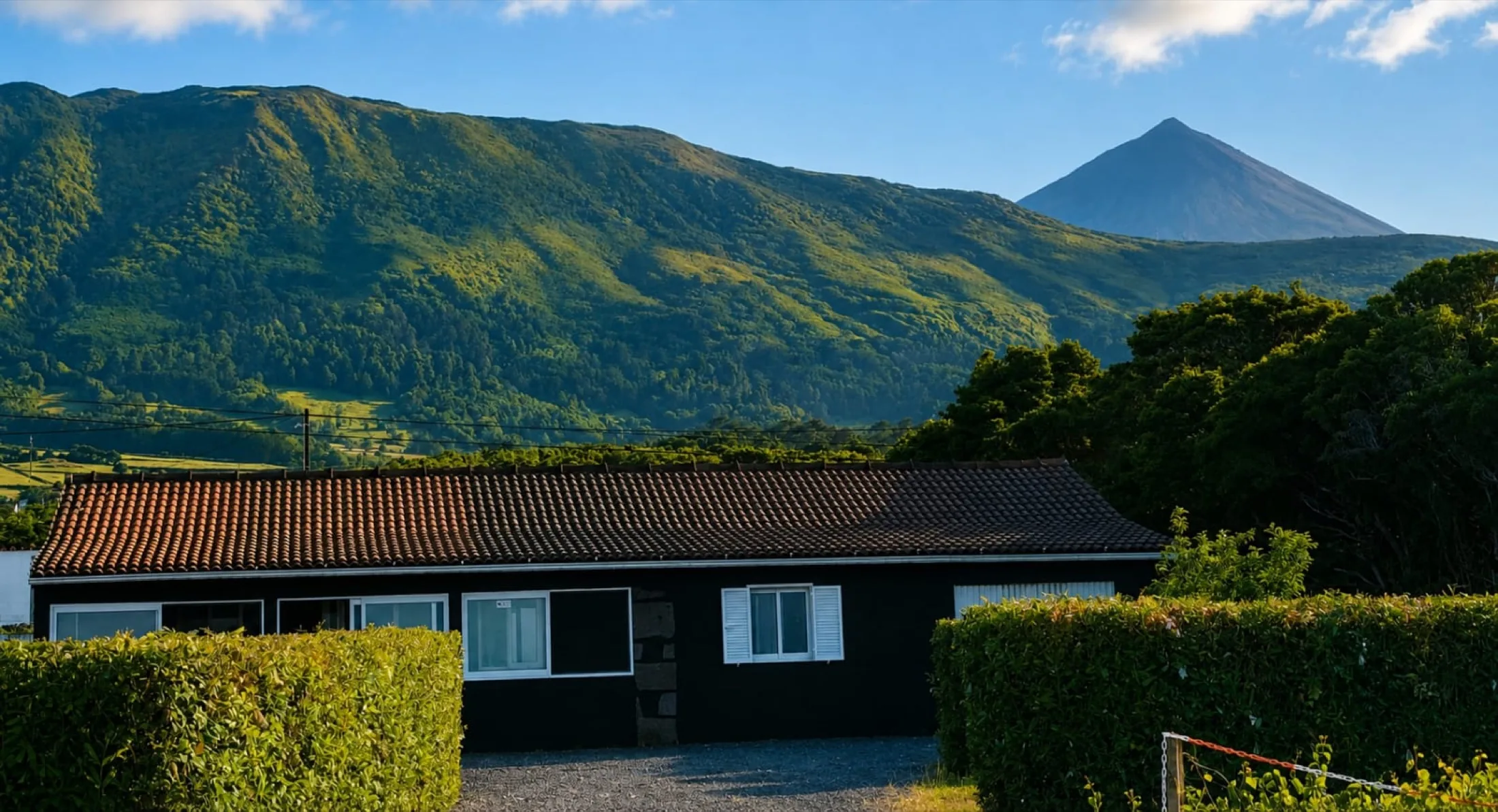 Adega do Carlos Pinheiro diante da paisagem verde e da Montanha do Pico